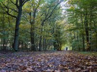 herbst (2)